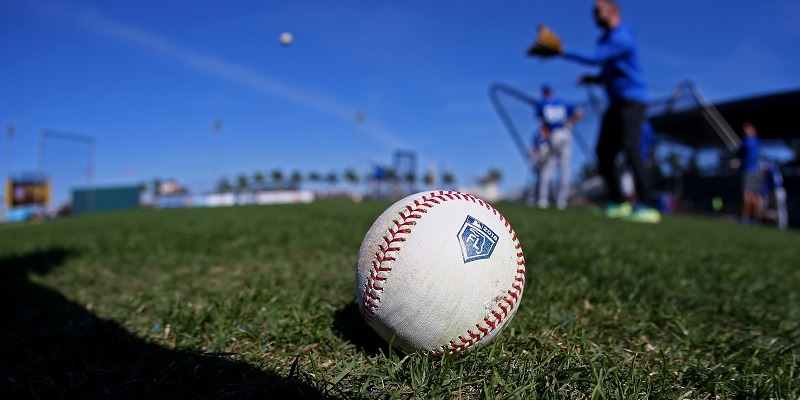 MLB, Logo, spring training