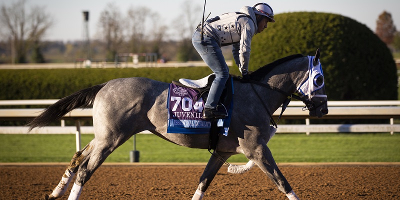 Essential Quality Early Favorite To Win Kentucky Derby