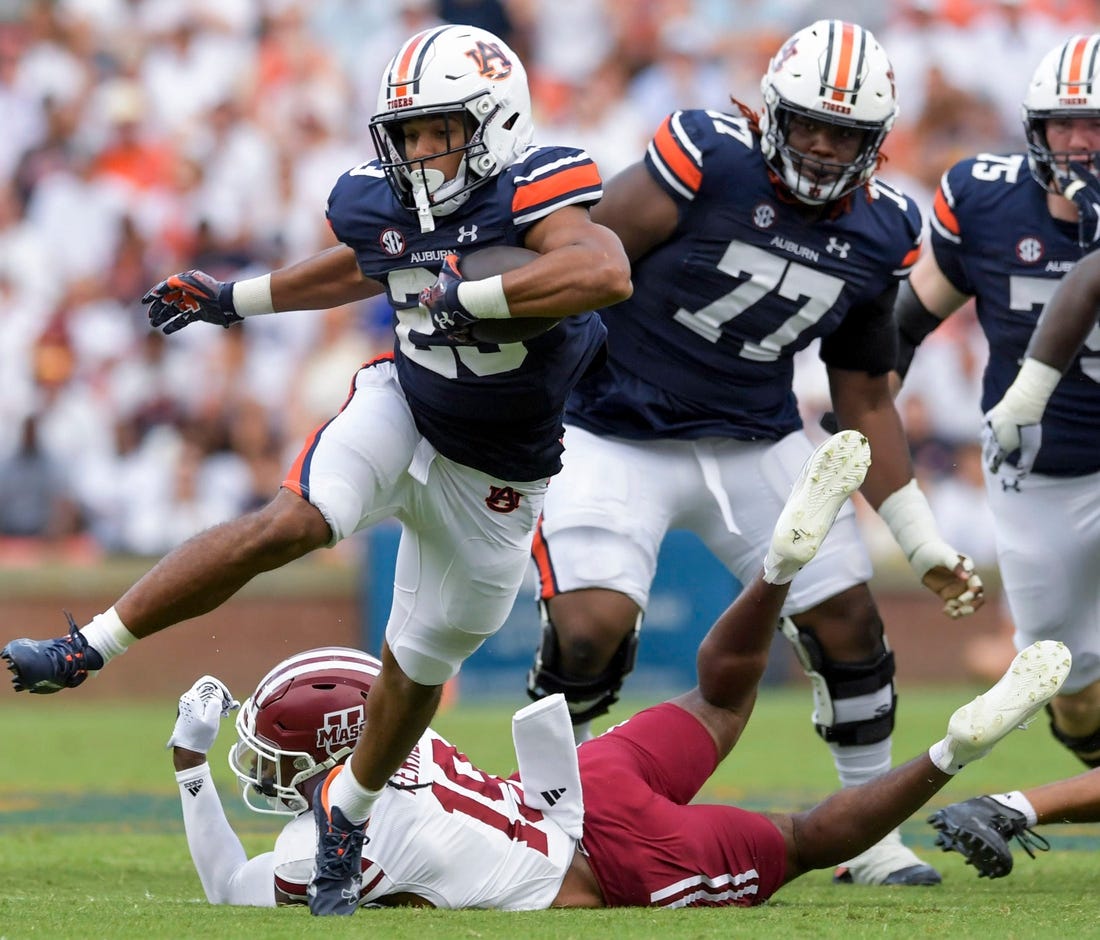 NCAA Football: Georgia at Auburn, Fieldlevel