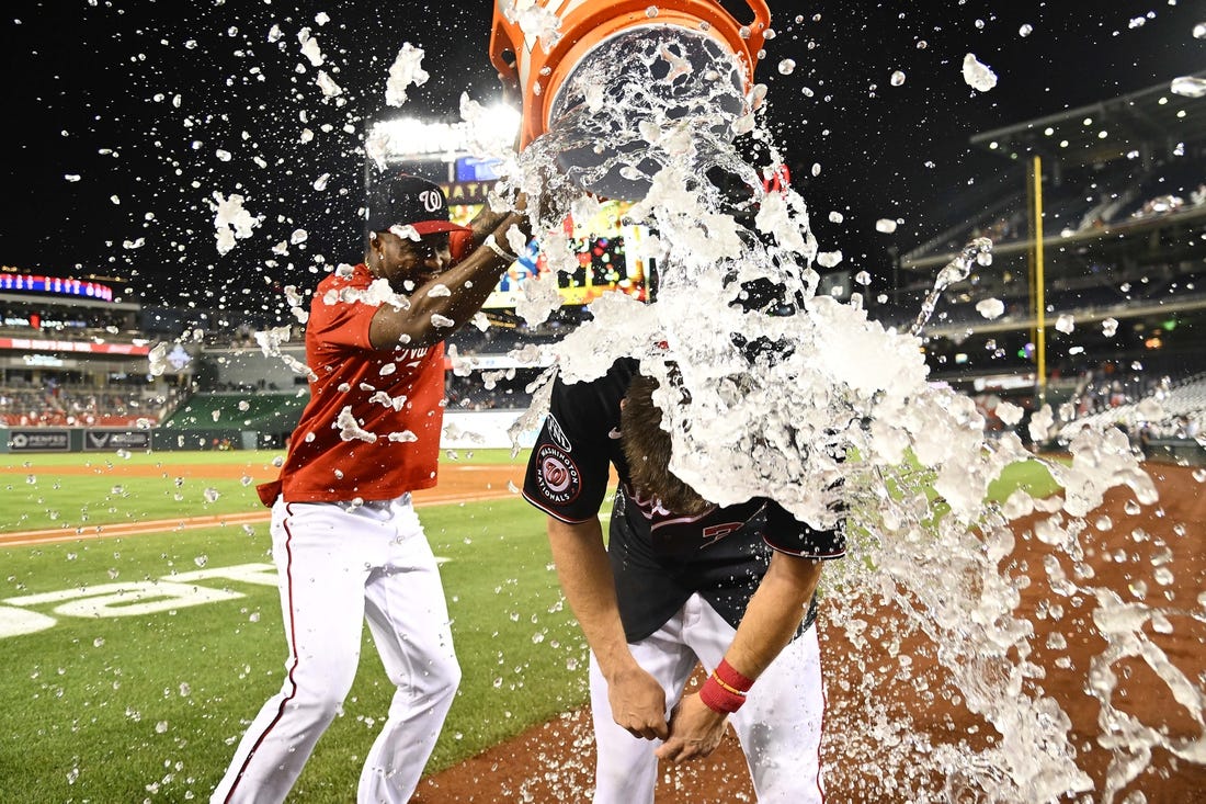 Nationals end skid with walk-off win over Mets