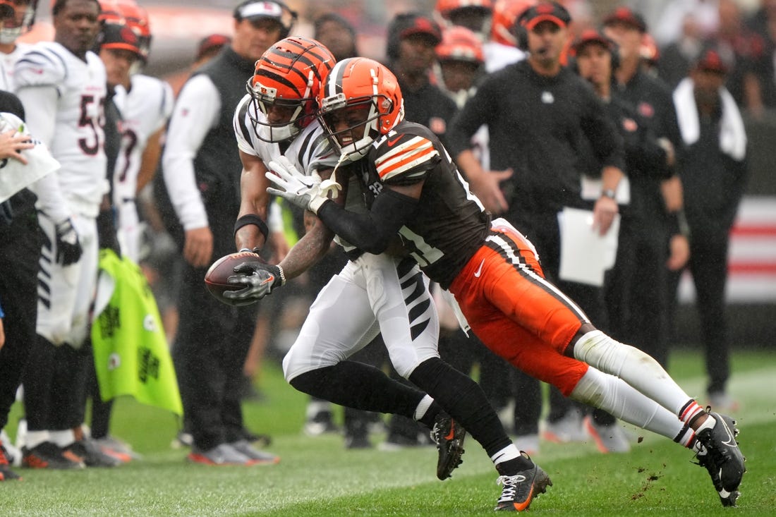 NFL: Baltimore Ravens at Cleveland Browns, Fieldlevel