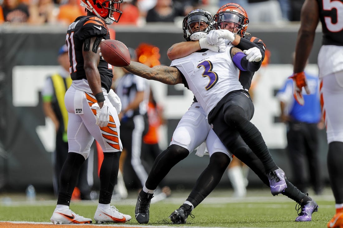 NFL: Baltimore Ravens at Cleveland Browns, Fieldlevel