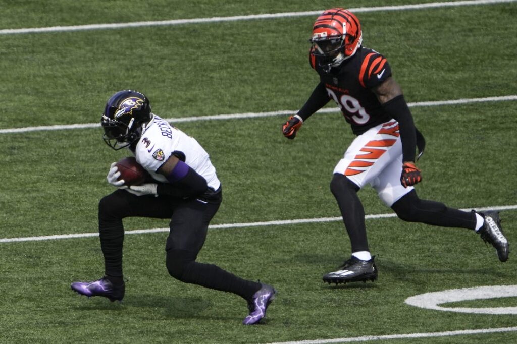 NFL: Baltimore Ravens at Cleveland Browns, Fieldlevel