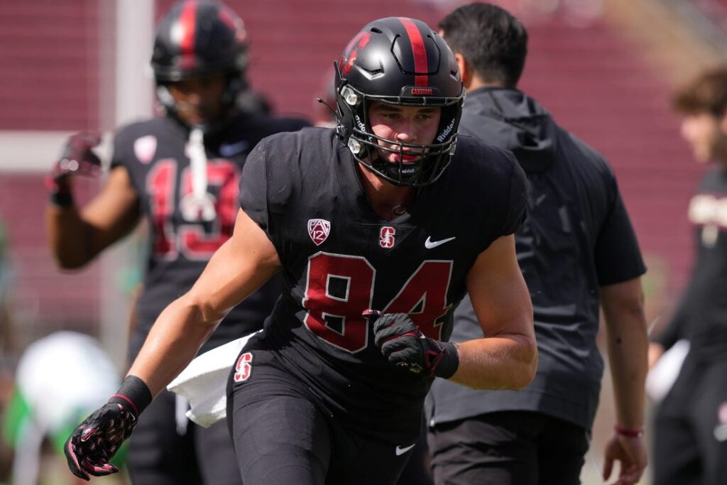 stanford yurosek