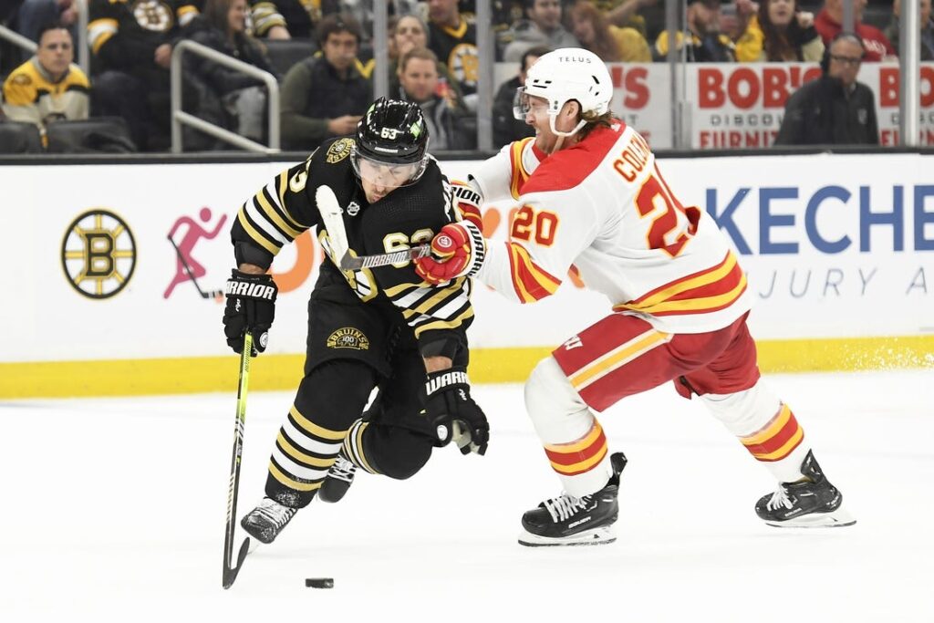 boston bruins