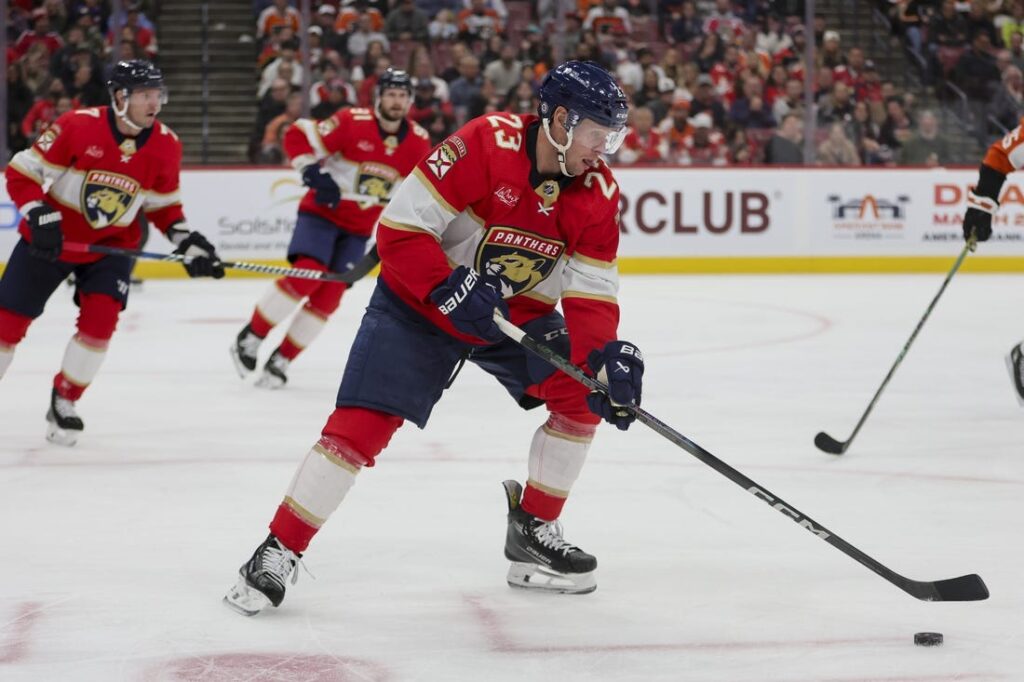 florida panthers