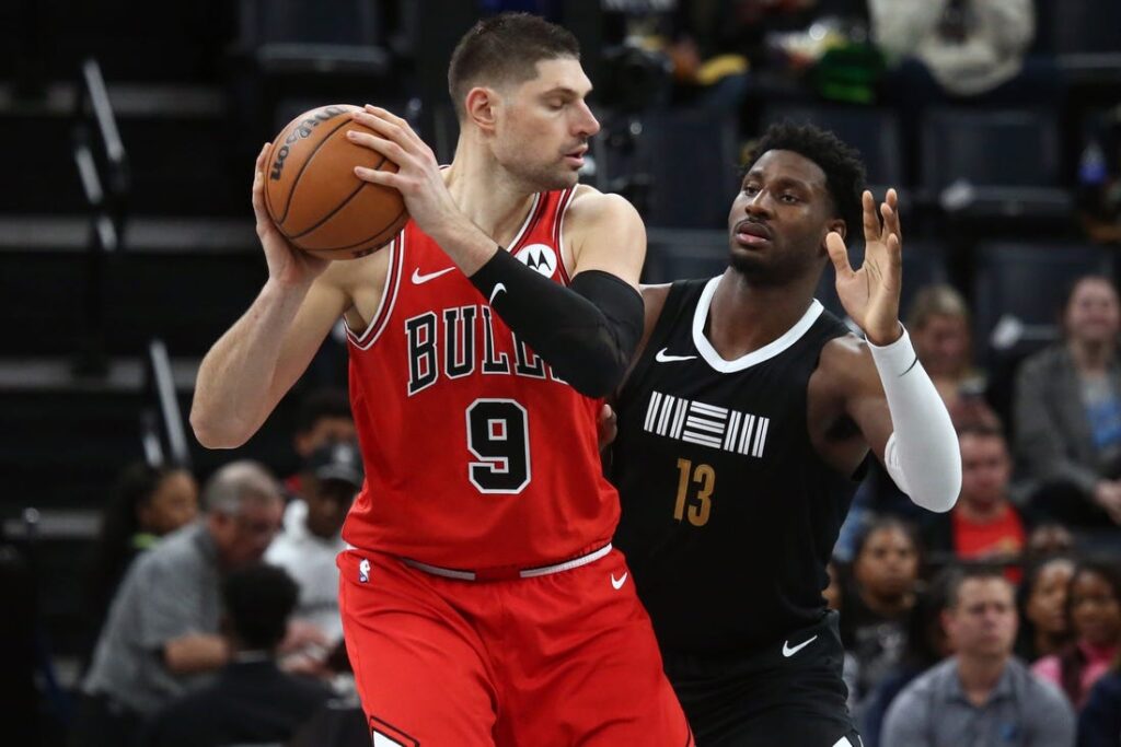 bulls