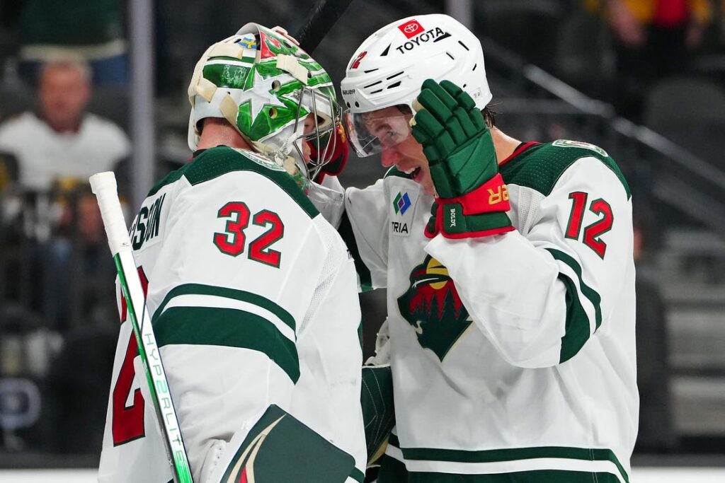 minnesota wild