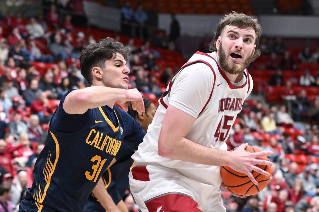 Washington State cougars, golden bears