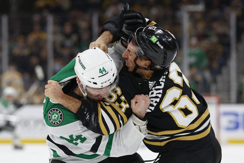 stars bruins
