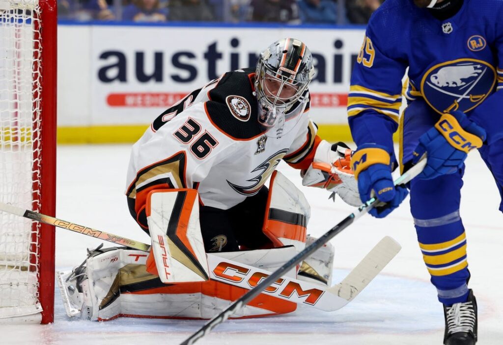 anaheim ducks