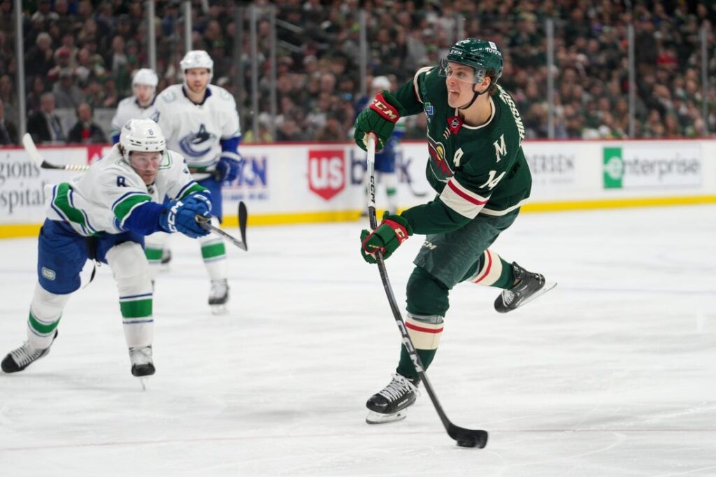 minnesota wild