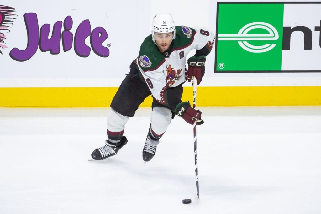 arizona coyotes