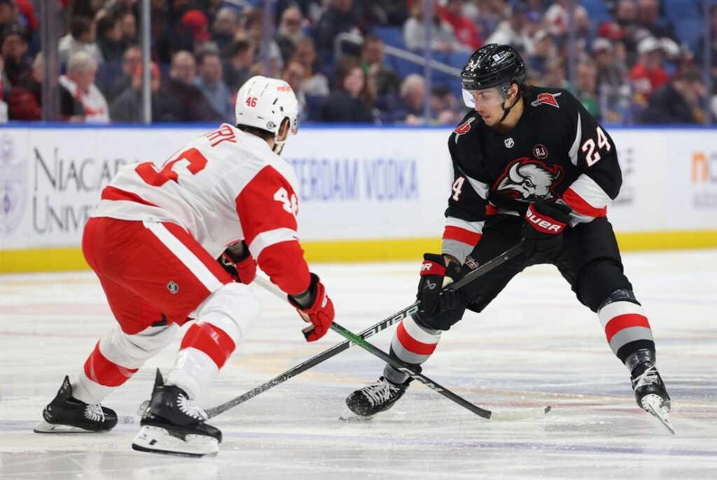 sabres detroit red wings