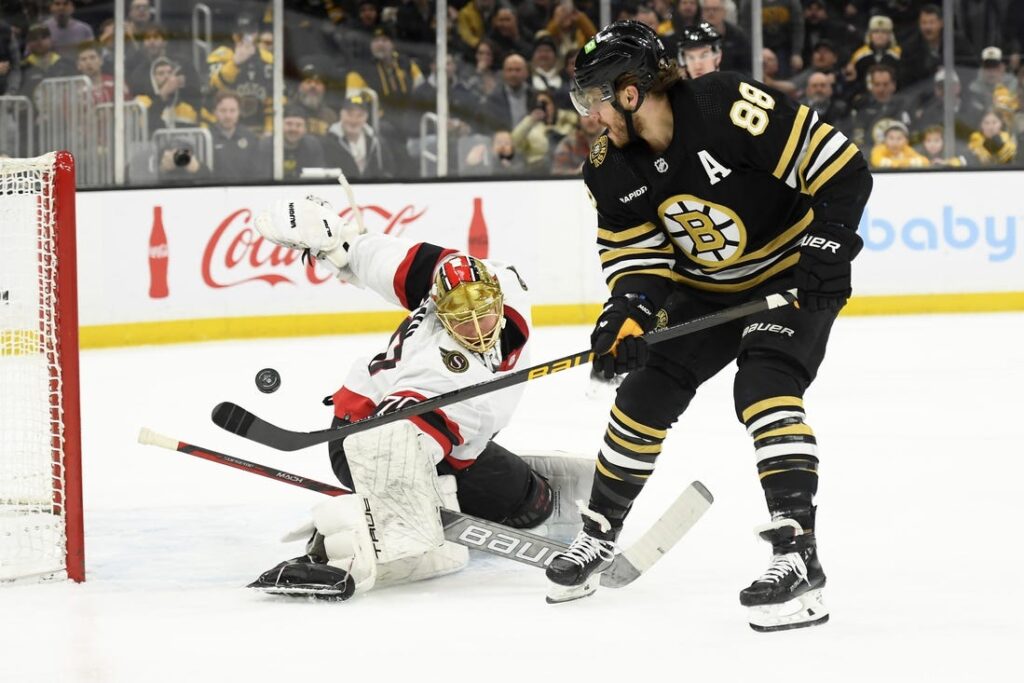 David Pastrnak