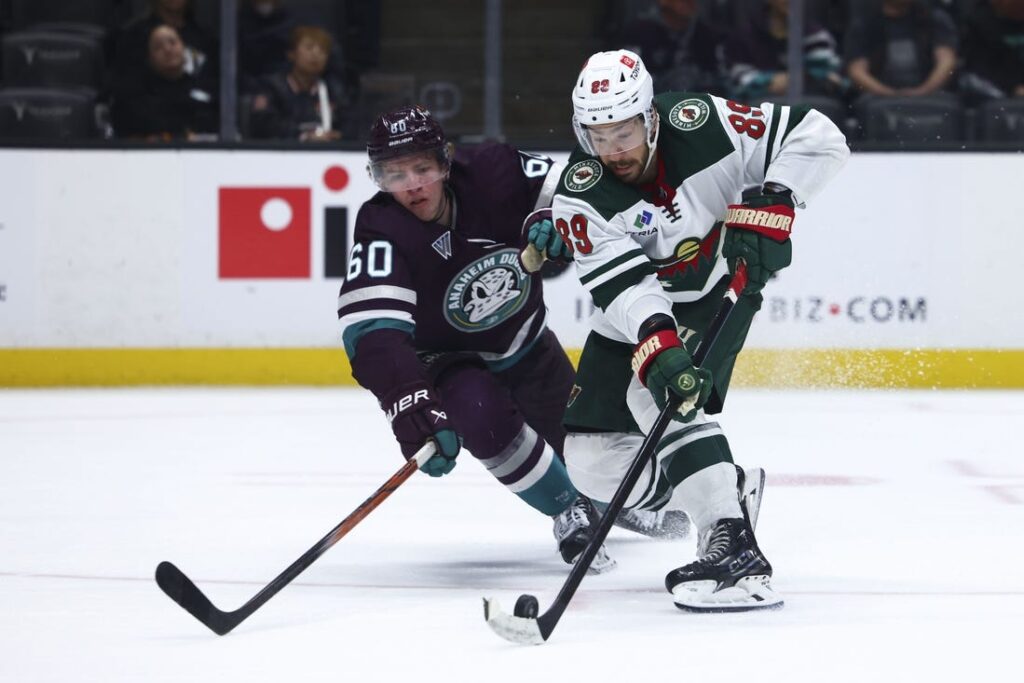Minnesota Wild