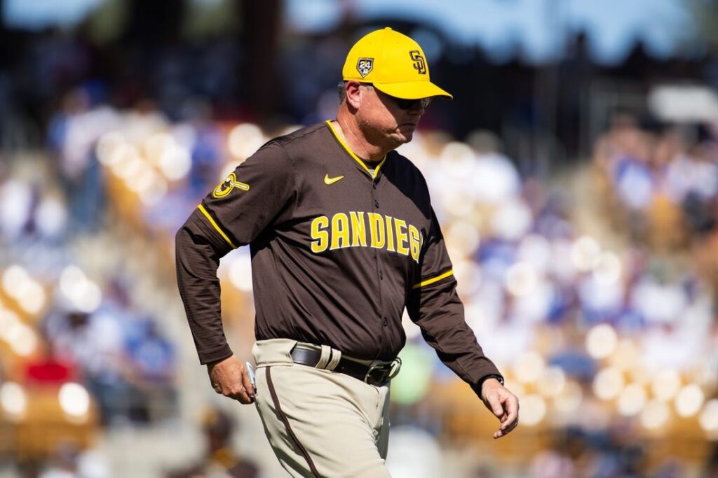 Mike Shildt