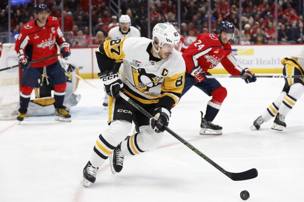 penguins