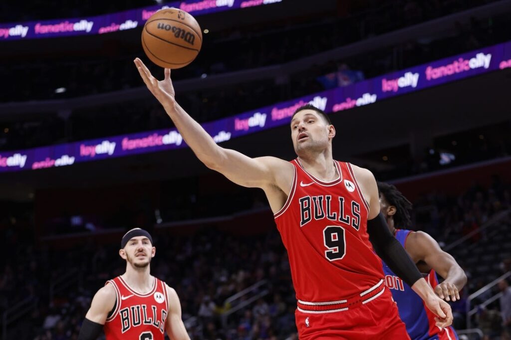 bulls