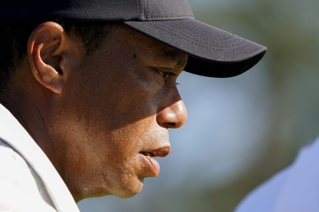 Tiger woods