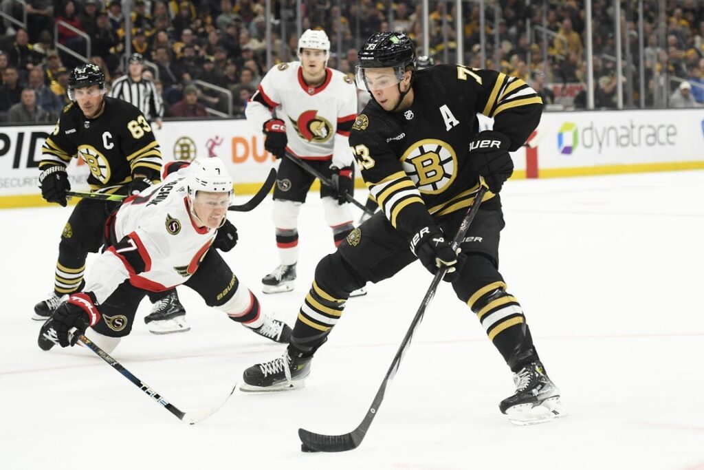 boston bruins