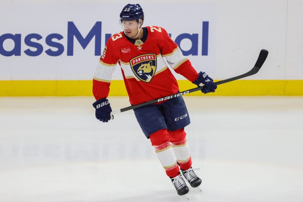 florida panthers