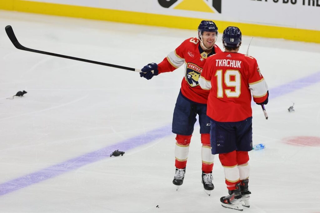 panthers, lightning