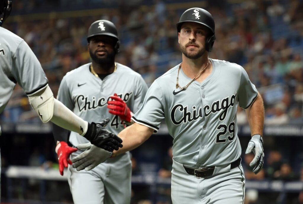 rays, white sox