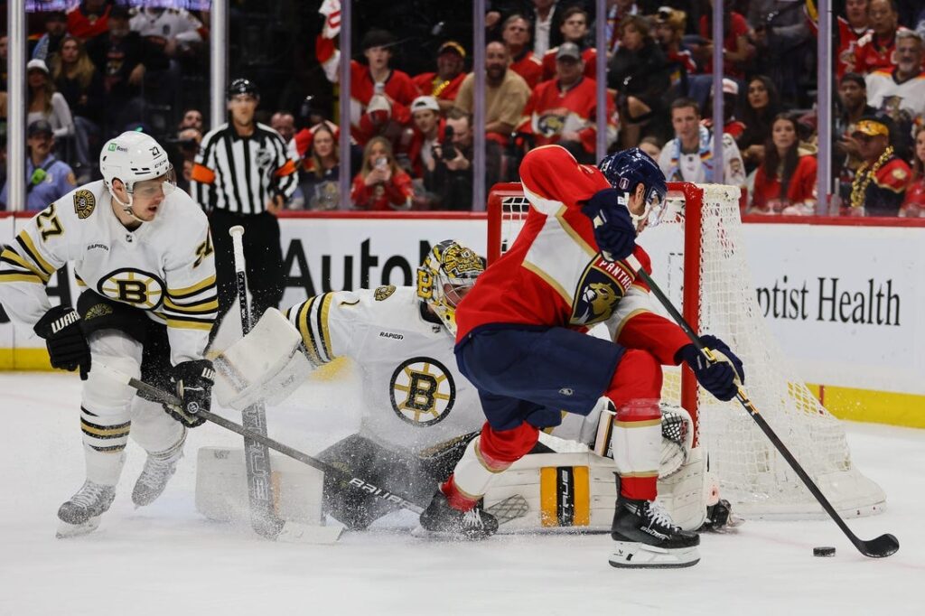bruins