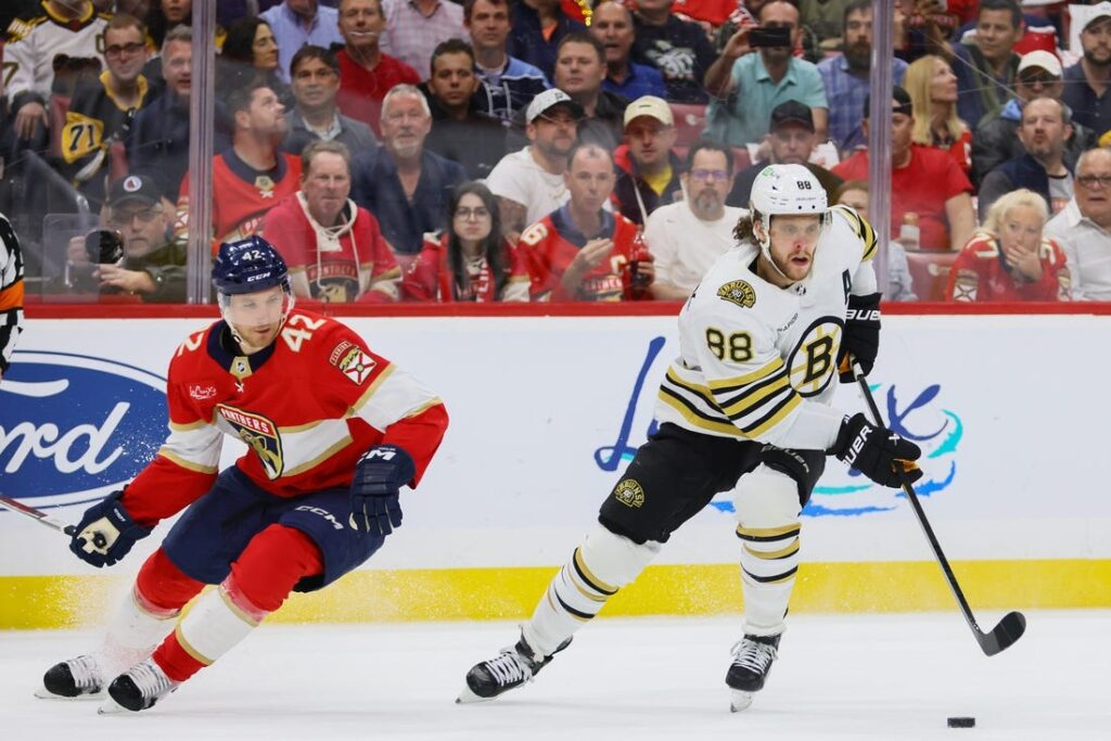 bruins