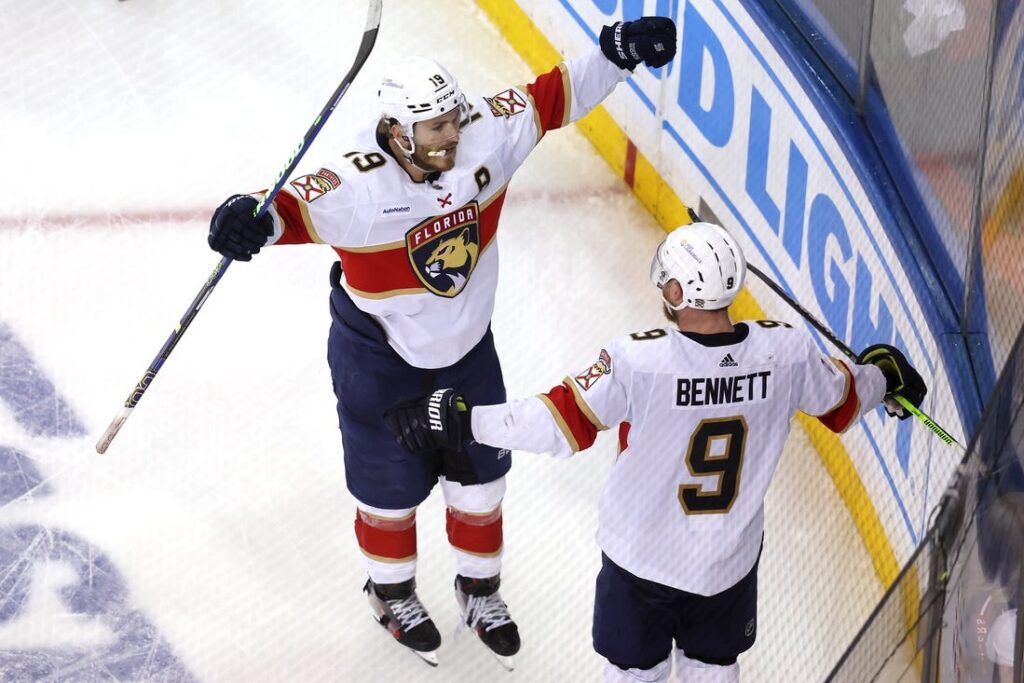 florida panthers