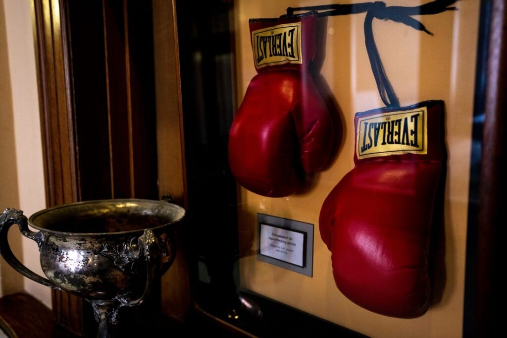 gloves ali