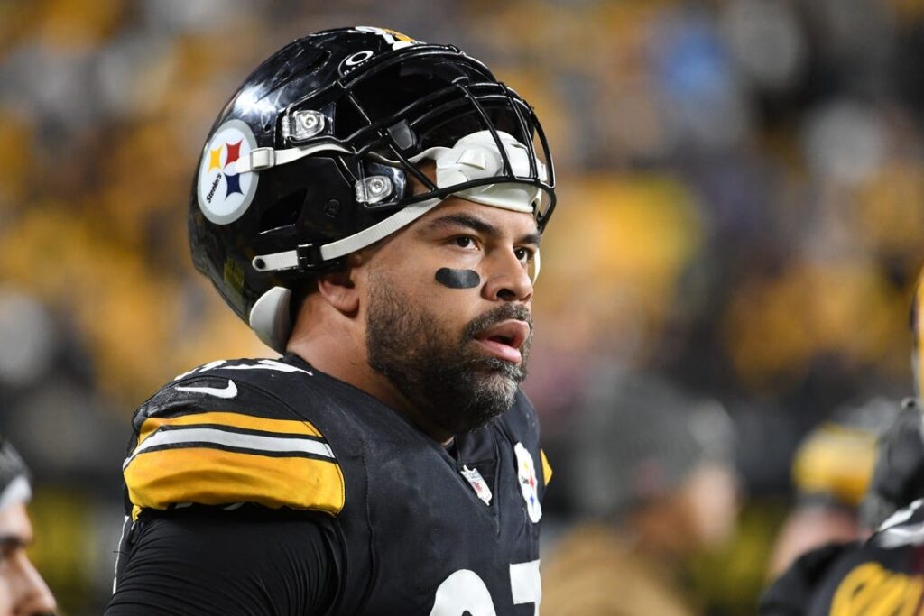 cam heyward steelers