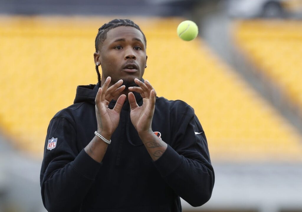 Tee Higgins