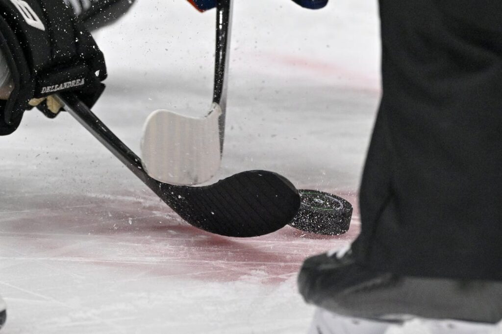 hockey logo puck