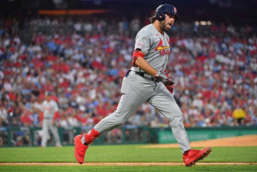 cardinals