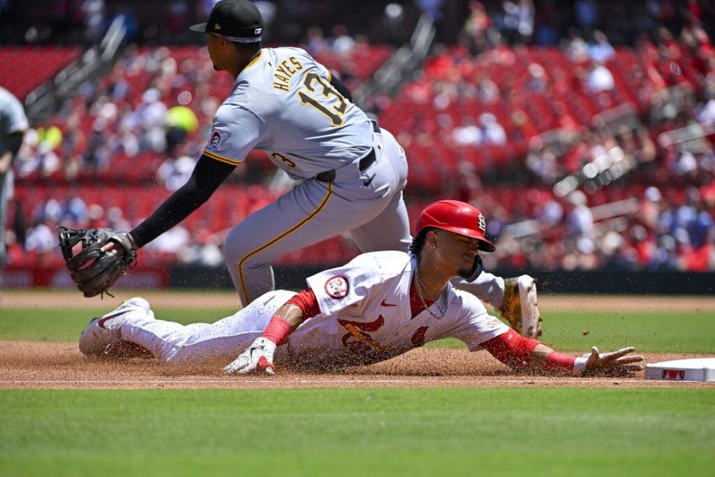 cardinals