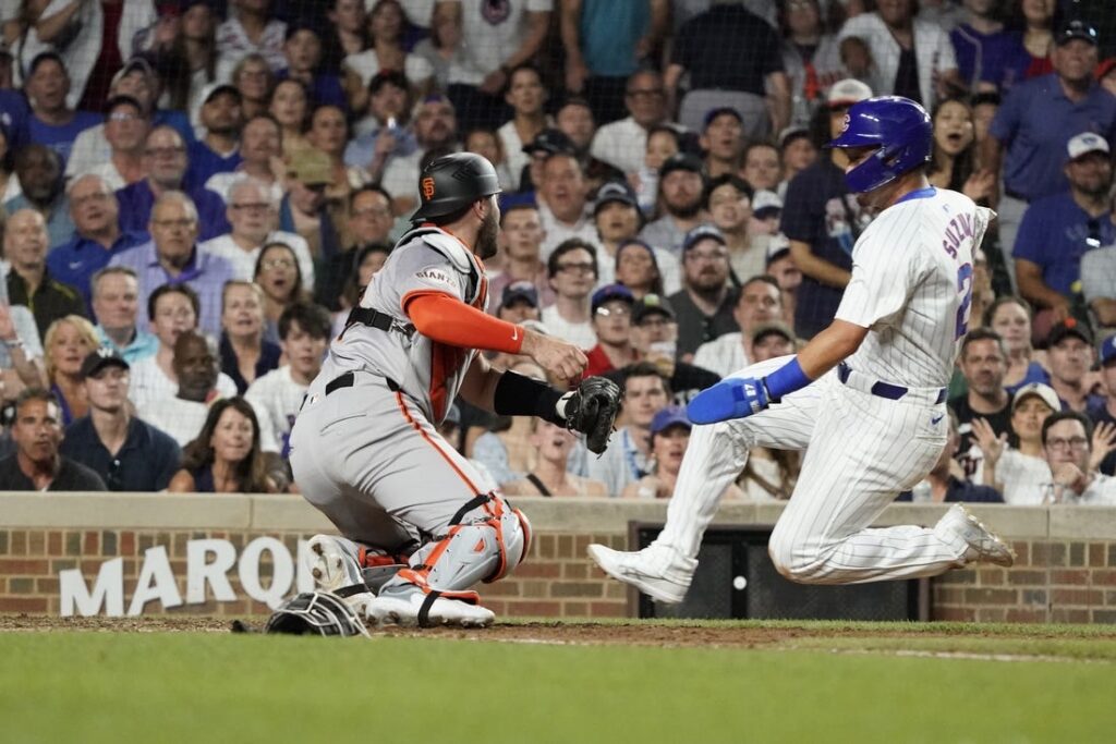 giants, cubs