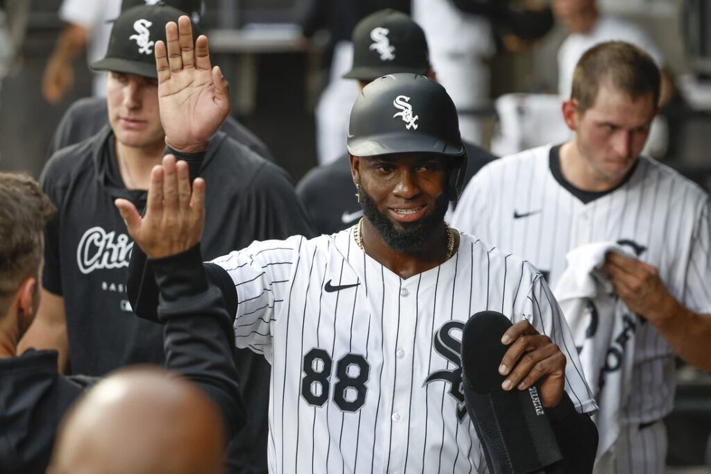 Luis Robert