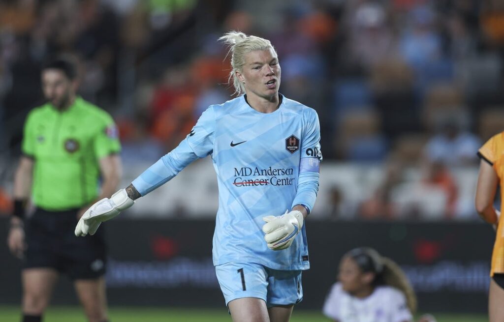 jane campbell dash react