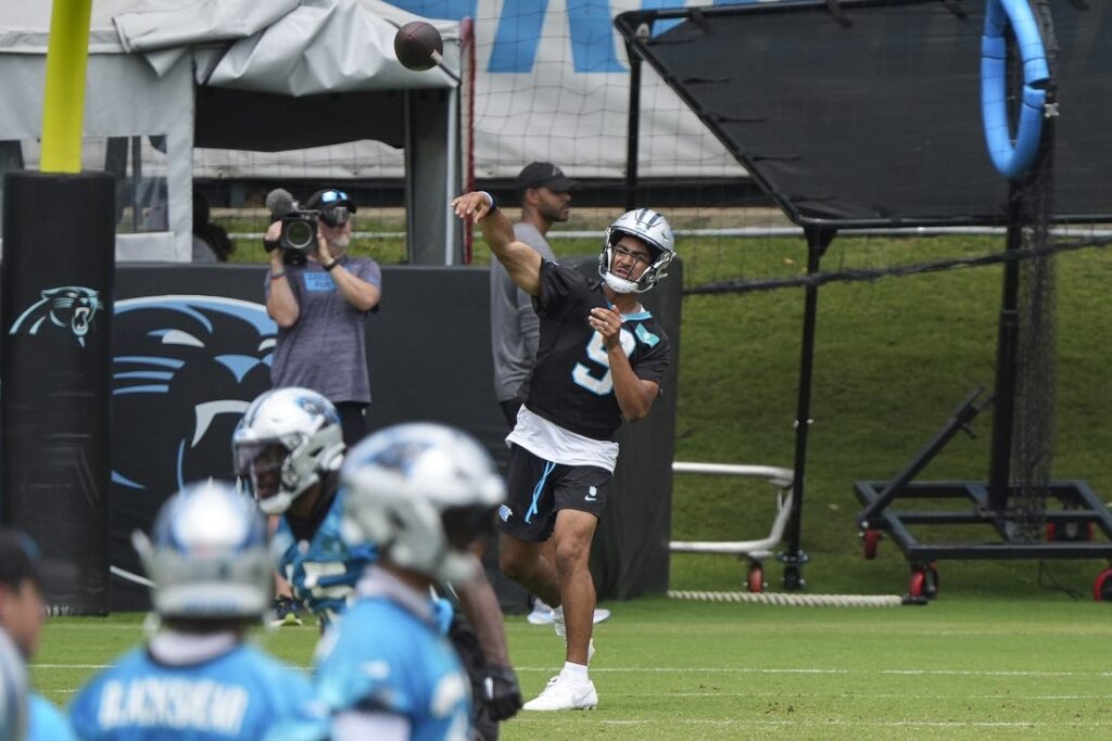 Panthers