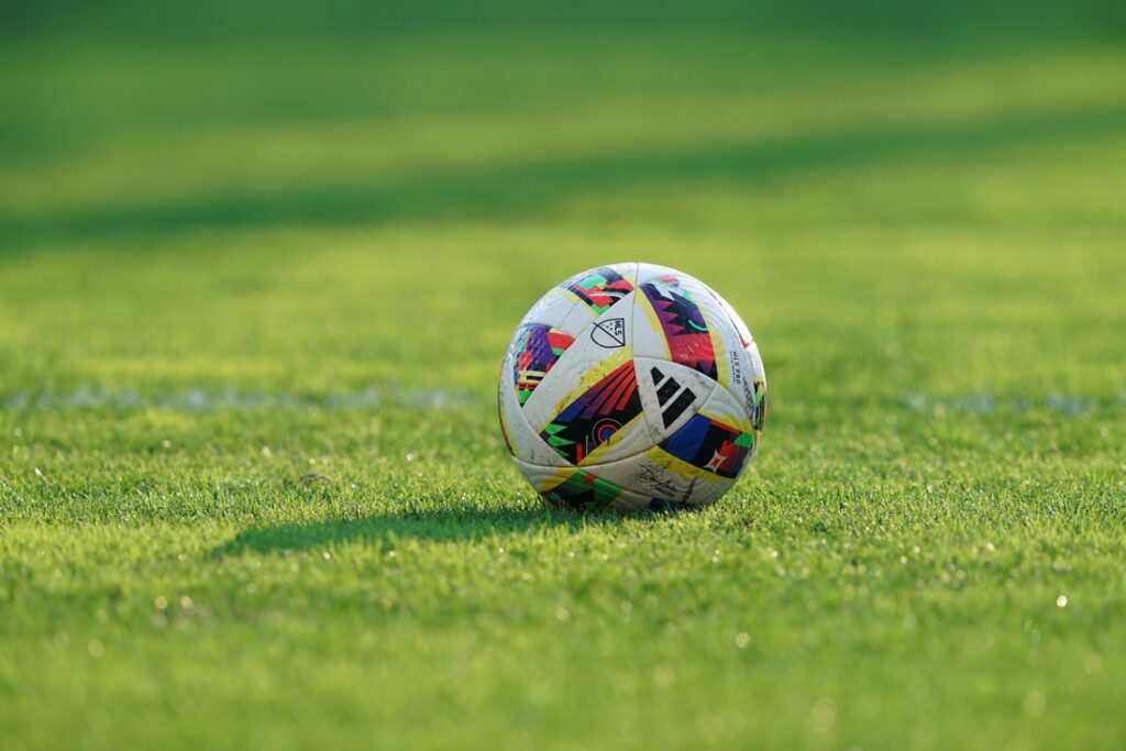 soccer ball on grass