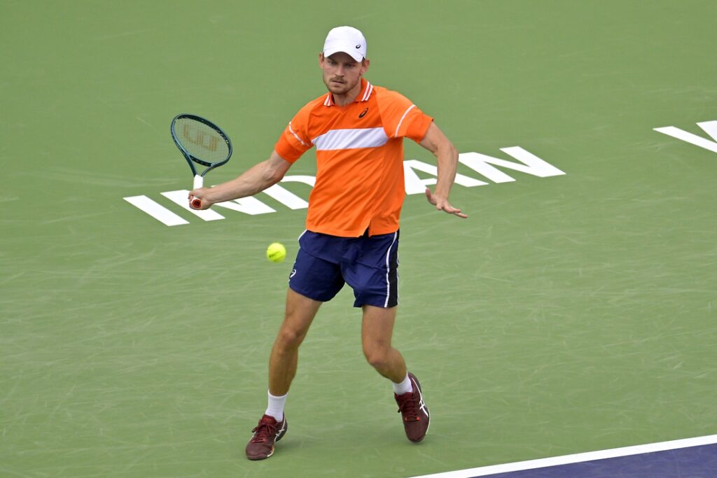 david goffin