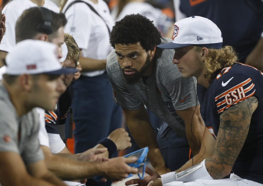 bears texans