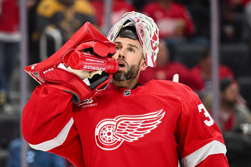 detroit red wings