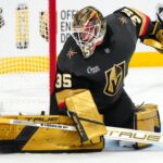 Ducks Golden Knights