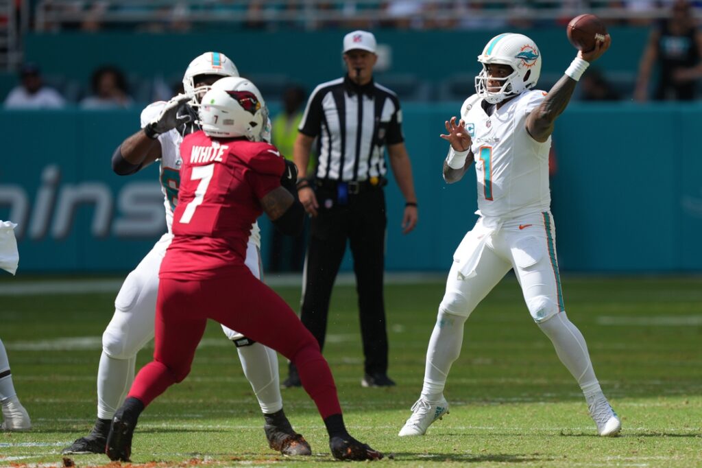 Cardinals, Dolphins