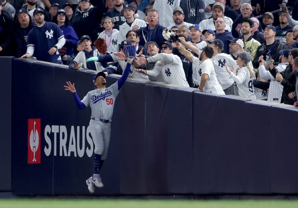 fan interference yankee stadium