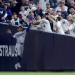 fan interference yankee stadium