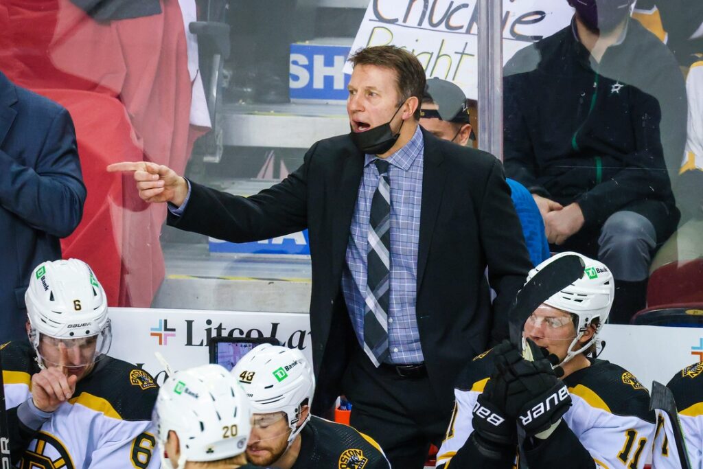 bruins sacco